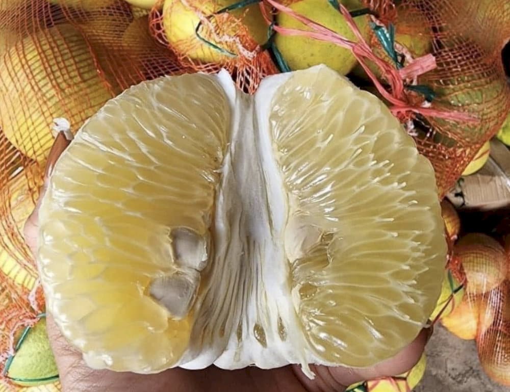 Với hương thơm tươi mát và vị ngọt nhẹ